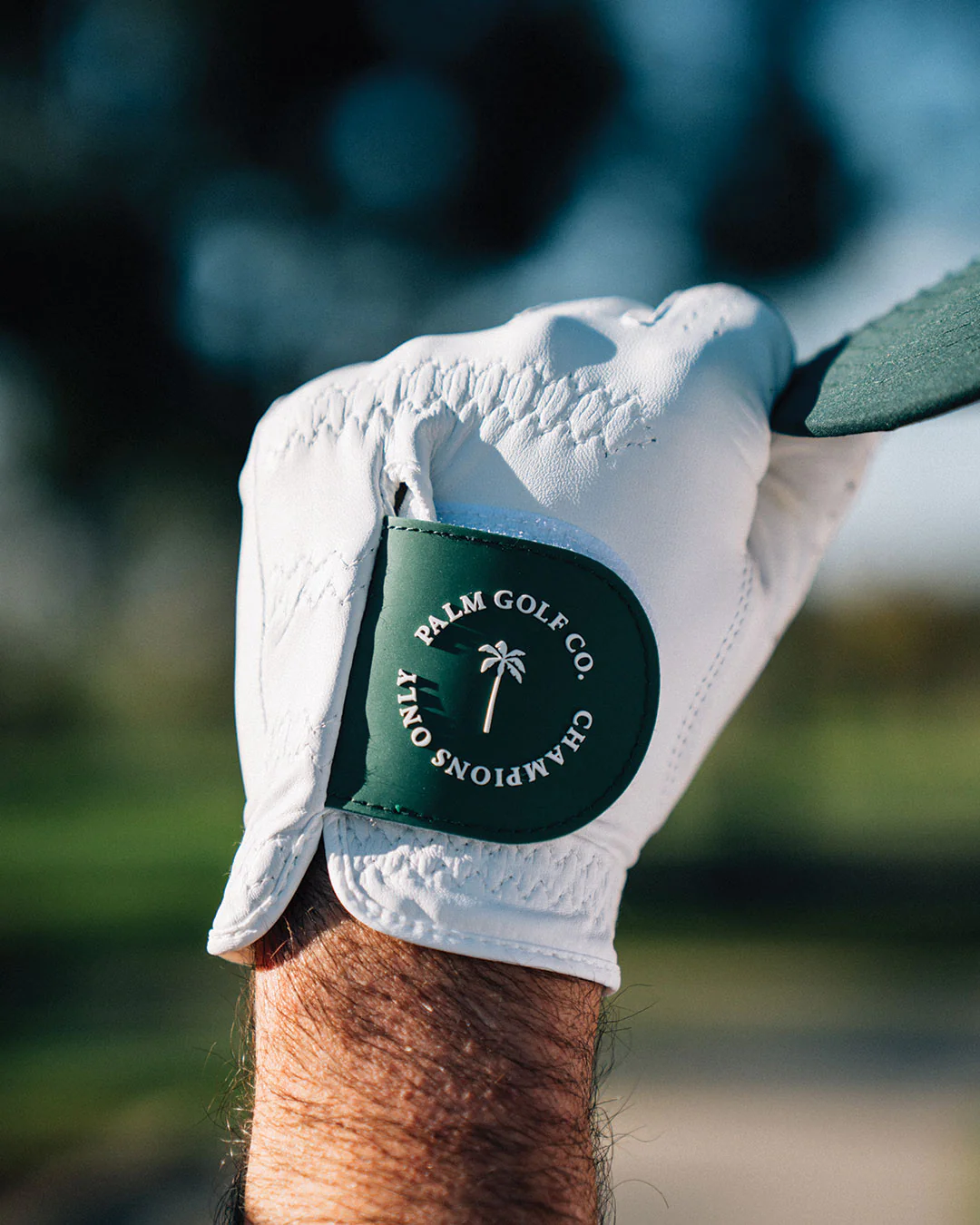Men's Champions Only Glove - Image 3